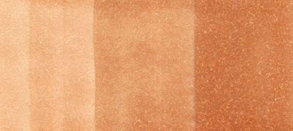 Copic Sketch Markers in Earth Colors / E Series