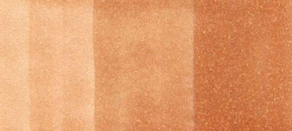 Copic Sketch Markers in Earth Colors / E Series