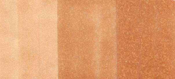 Copic Sketch Markers in Earth Colors / E Series