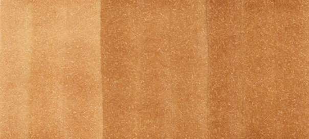 Copic Sketch Markers in Earth Colors / E Series