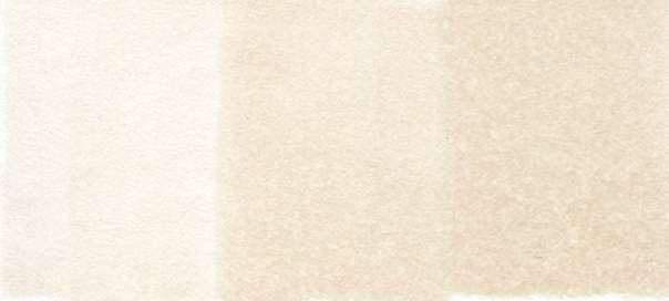 Copic Sketch Markers in Earth Colors / E Series
