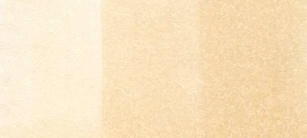 Copic Sketch Markers in Earth Colors / E Series