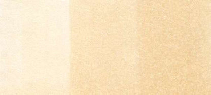 Copic Sketch Markers in Earth Colors / E Series