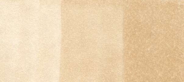 Copic Sketch Markers in Earth Colors / E Series