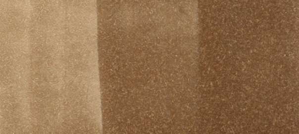 Copic Sketch Markers in Earth Colors / E Series