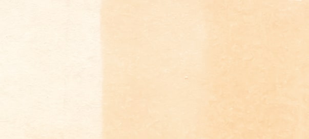 Copic Sketch Markers in Earth Colors / E Series