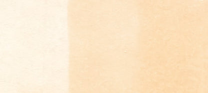 Copic Sketch Markers in Earth Colors / E Series