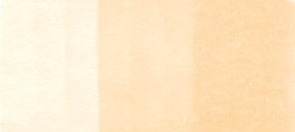 Copic Sketch Markers in Earth Colors / E Series