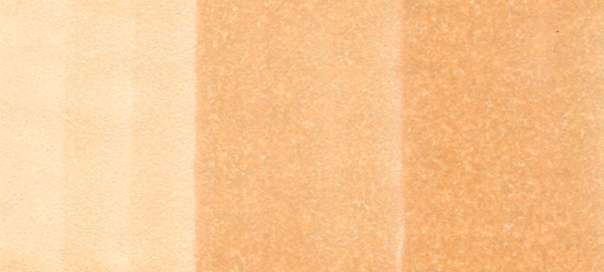 Copic Sketch Markers in Earth Colors / E Series