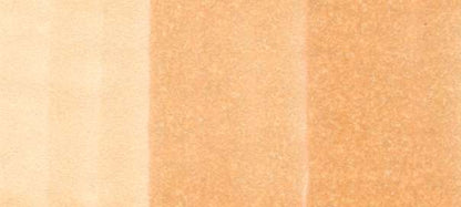 Copic Sketch Markers in Earth Colors / E Series