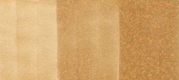 Copic Sketch Markers in Earth Colors / E Series