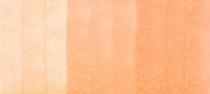 Copic Sketch Markers in Earth Colors / E Series