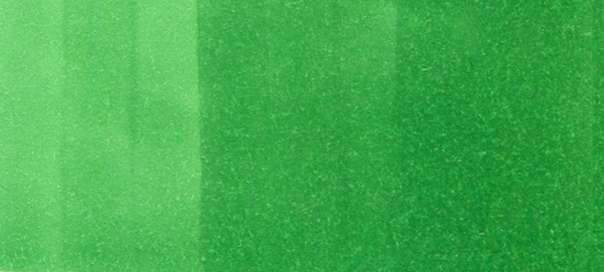 Copic Sketch Markers in Green Colors / G Series