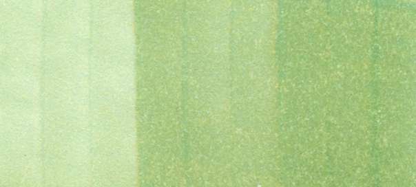 Copic Sketch Markers in Green Colors / G Series