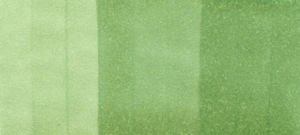 Copic Sketch Markers in Green Colors / G Series