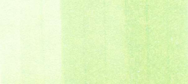 Copic Sketch Markers in Green Colors / G Series