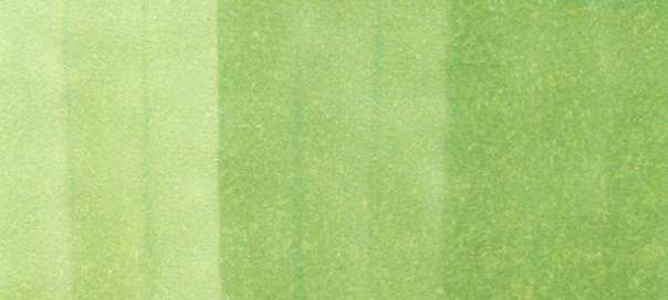 Copic Sketch Markers in Green Colors / G Series