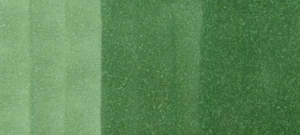 Copic Sketch Markers in Green Colors / G Series