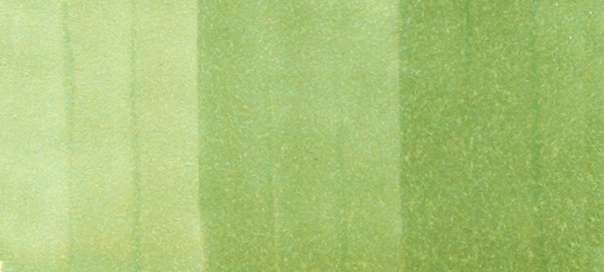 Copic Sketch Markers in Green Colors / G Series