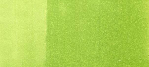 Copic Sketch Markers in Yellow-Green Colors / YG Series