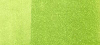 Copic Sketch Markers in Yellow-Green Colors / YG Series