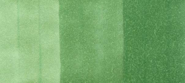 Copic Sketch Markers in Yellow-Green Colors / YG Series