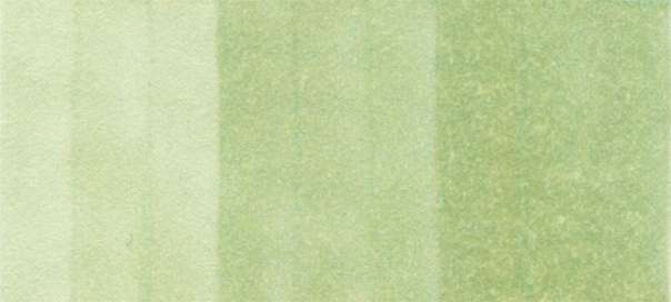 Copic Sketch Markers in Yellow-Green Colors / YG Series