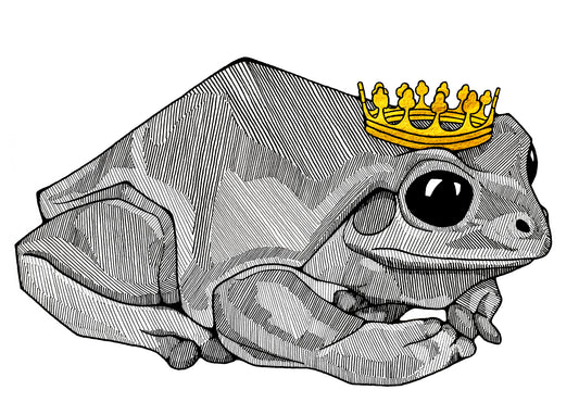 "Frog Prince" Sticker by Holly Hutchinson