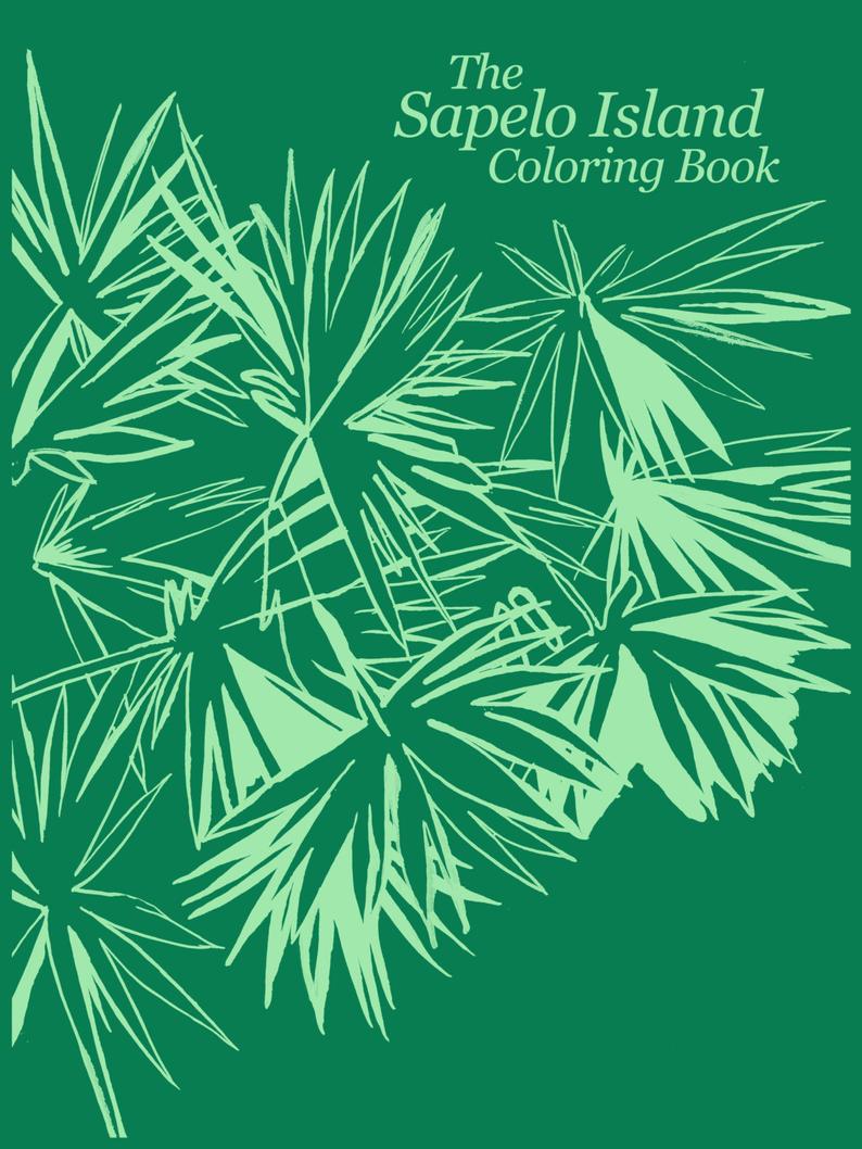 "The Sapelo Island Coloring Book" by Abigail West - by Abigail West - K. A. Artist Shop