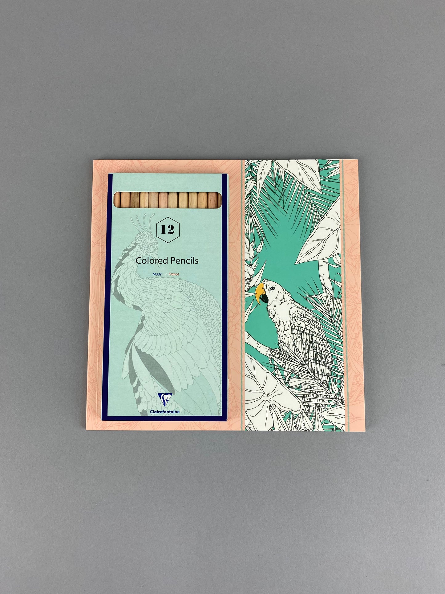 Coloring Book & Colored Pencil Set Bundle - Birds by K. A. Artist Shop - K. A. Artist Shop
